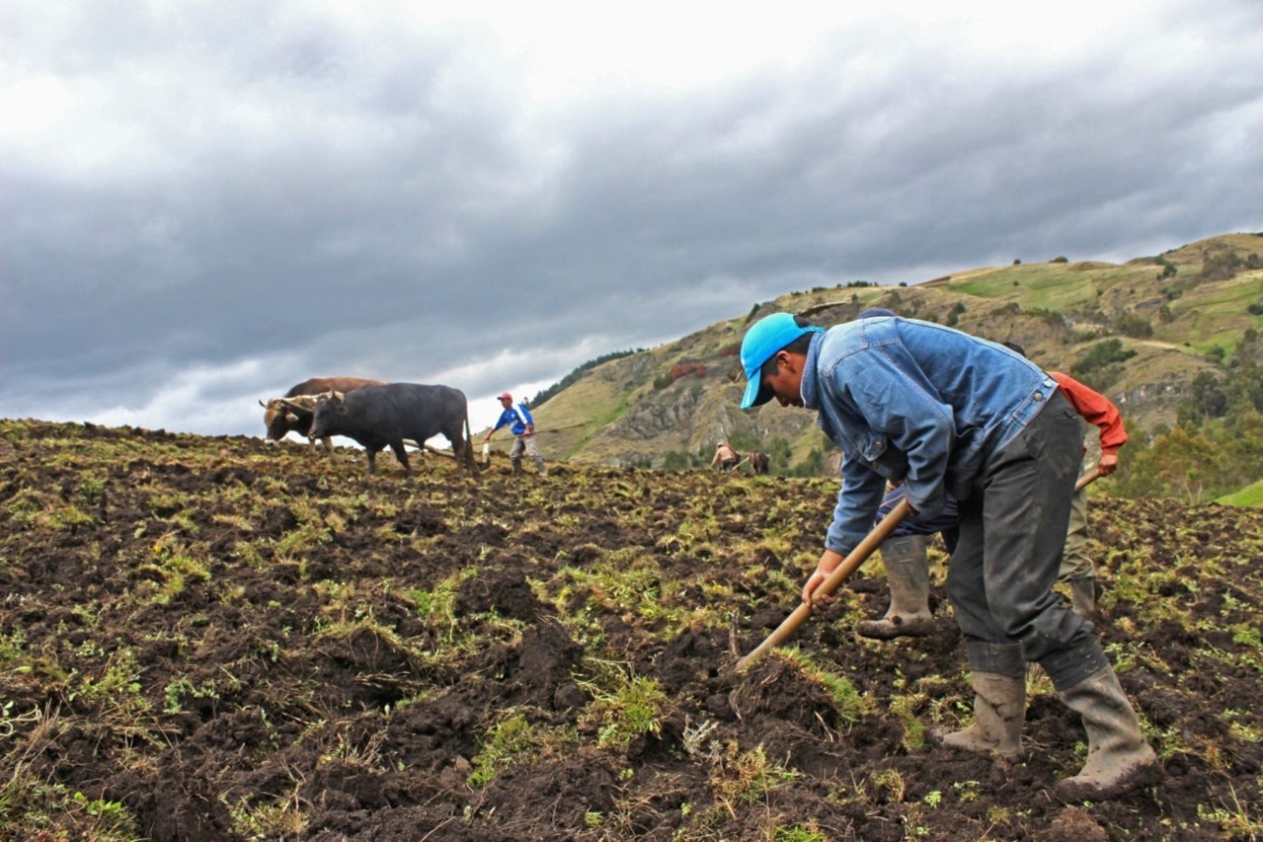 Sectores Rurales La ausencia de un Plan de Desarrollo Rural con enfoque de territorio ...