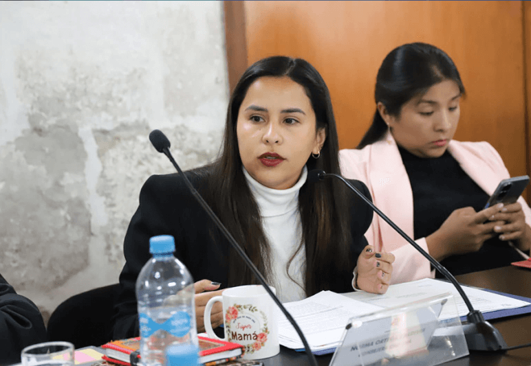 ortega contra bustamante