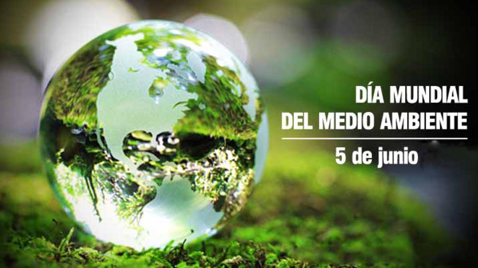 DM-Medio-Ambiente-0