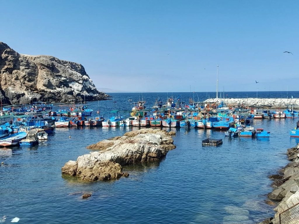 Desembarcadero-Pesquero-Artesanal-El-Faro-Matarani-0622