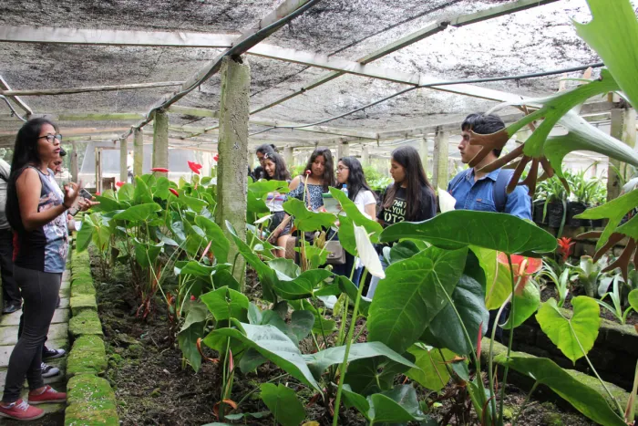 viveo-universidad-agraria