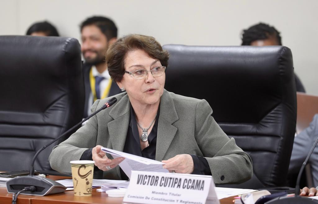 constitucion20221111-02