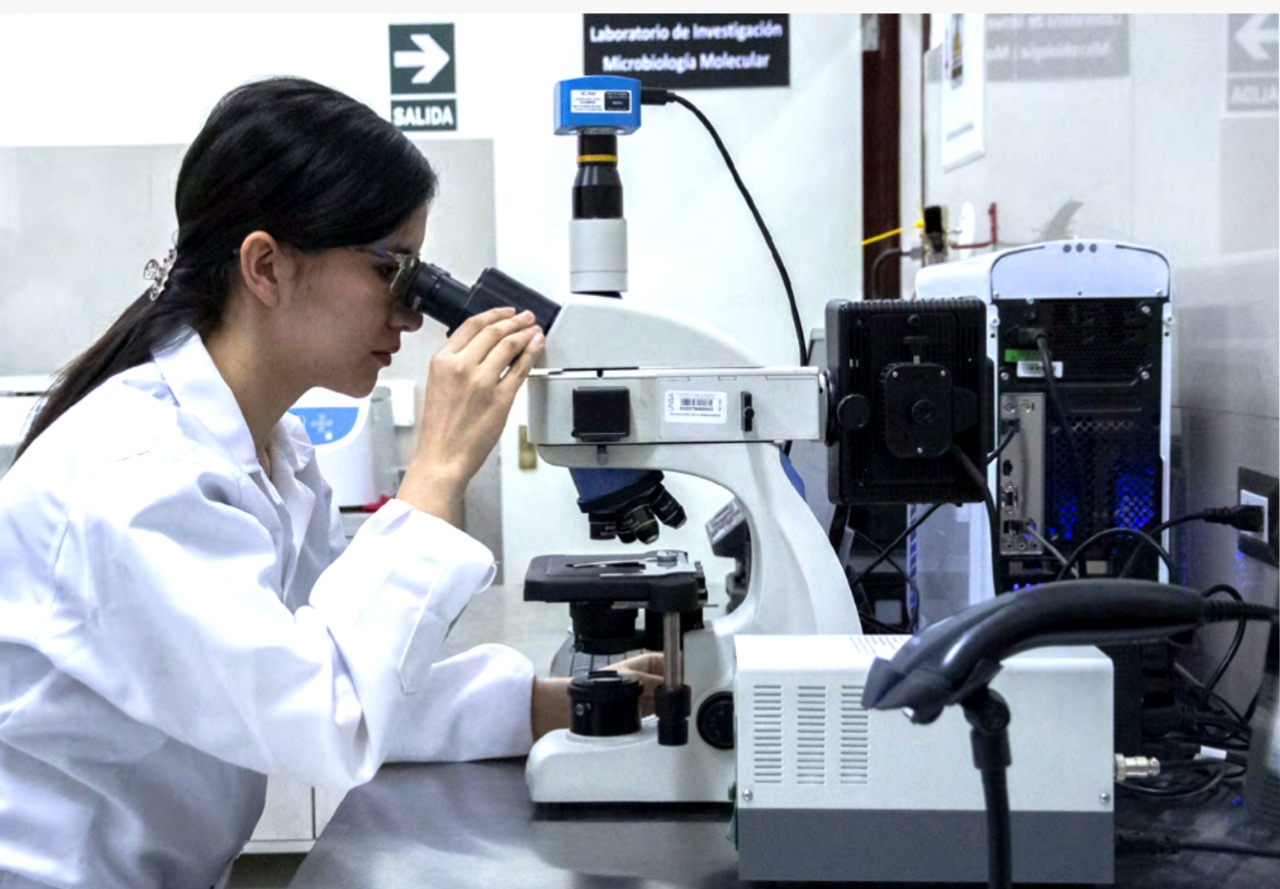 WhatsApp-Image-2021-05-11-at-1.55.28-PM (1)