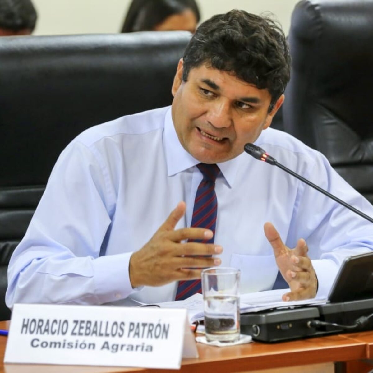 Horacio-Zeballos-Patrón-congresista-1200x1200-cropped
