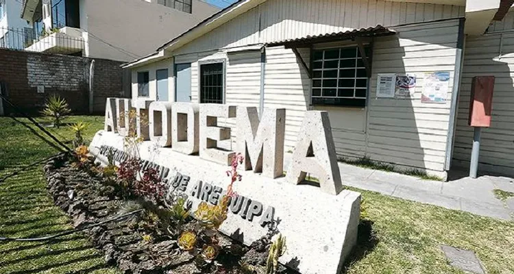 autodema-nueva