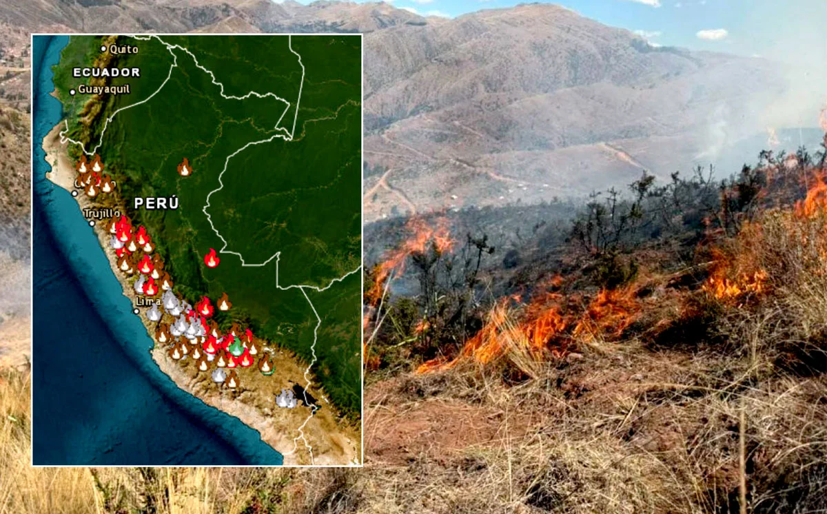 incendios-peru-serfor-andina